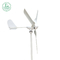 Gerador de turbina eólica 600 W 3 pás Geradores acionados pelo vento Tamanho personalizado